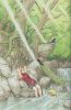 naruto artbook092   2344  (naruto artbook092   ( Anime CG Artbook Uzumaki Naruto  ) 2344 )